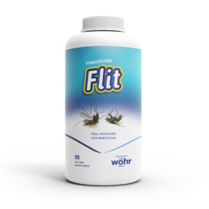 FLIT